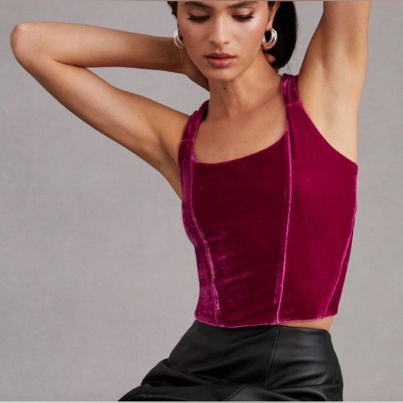 Anthropologie Tops - Anthropologie Velvet Corset Top - Small